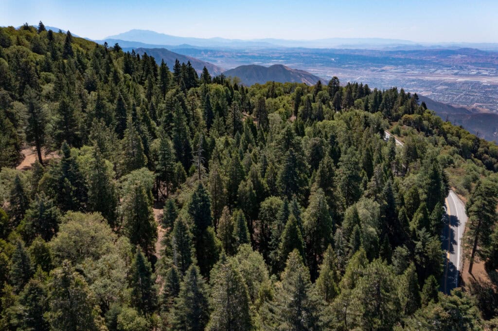 Lake Arrowhead memorial forest birds eye view
