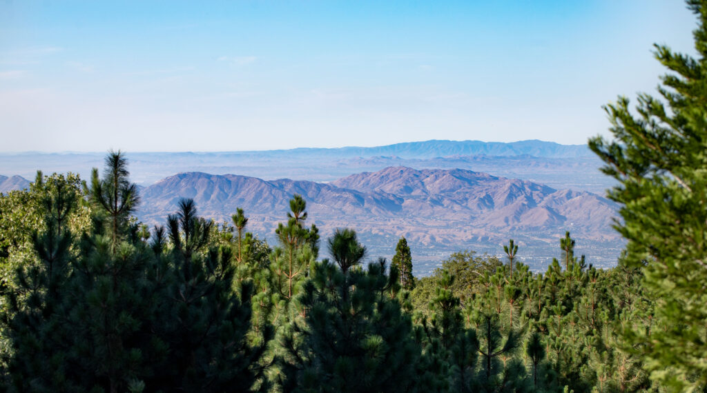 mountainview in Lake Arrowhead memorial forest